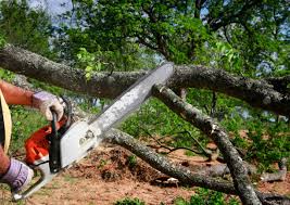 Lawn Pest Prevention in Gore, OK