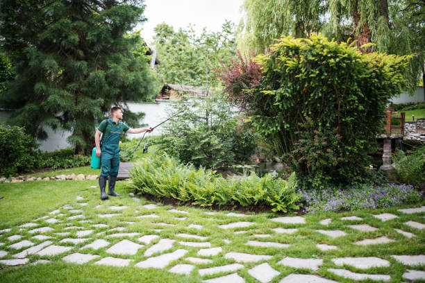 Landscape Design and Installation in Gore, OK