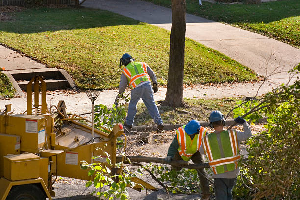 Best Lawn Drainage Solutions  in Gore, OK