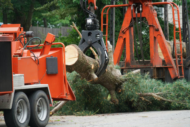 Best Lawn Maintenance Plans  in Gore, OK