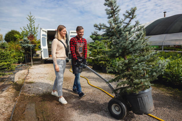 Best Stump Grinding and Removal  in Gore, OK